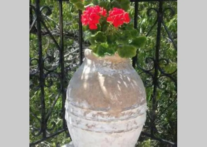 Yria Zakynthos بيت للعطل