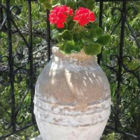 Yria Zakynthos Dom wakacyjny